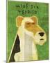 Wire Fox Terrier-John W^ Golden-Mounted Art Print