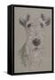 Wire Fox Terrier-Barbara Keith-Framed Stretched Canvas
