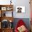 Wire Haired Dachshund X Long Haired Chihuahua-null-Photographic Print displayed on a wall