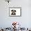 Wire Haired Dachshund X Long Haired Chihuahua-null-Framed Photographic Print displayed on a wall