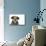 Wire Haired Dachshund X Long Haired Chihuahua-null-Mounted Photographic Print displayed on a wall