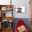 Wire Haired Dachshund X Long Haired Chihuahua-null-Mounted Photographic Print displayed on a wall