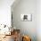 Wire Haired Dachshund X Long Haired Chihuahua-null-Mounted Photographic Print displayed on a wall