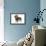 Wire-Haired Dachshund-null-Framed Photographic Print displayed on a wall