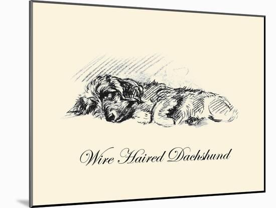 Wire Haired Daschund-Lucy Dawson-Mounted Art Print