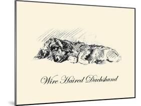 Wire Haired Daschund-Lucy Dawson-Mounted Art Print