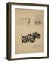 Wire-Haired Terrier, Aberdeen and West Highlander, 1930, Just Among Friends, Aldin, c.C. Windsor-Cecil Aldin-Framed Giclee Print