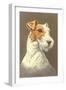 Wire-Haired Terrier-null-Framed Art Print