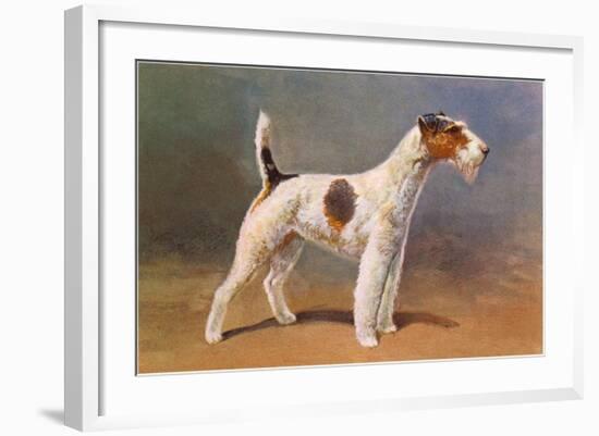 Wire-Haired Terrier-null-Framed Art Print