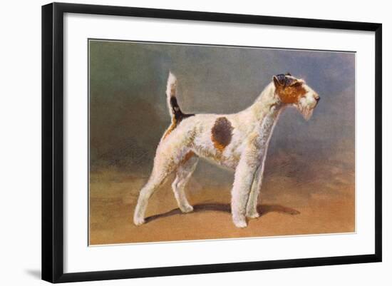 Wire-Haired Terrier-null-Framed Art Print