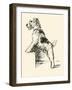 Wire Haired Terrier-Lucy Dawson-Framed Art Print