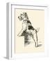 Wire Haired Terrier-Lucy Dawson-Framed Art Print