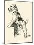 Wire Haired Terrier-Lucy Dawson-Mounted Art Print