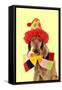 Wire-Haired Vizsla Wearing Clown Hat and Bow Tie-null-Framed Stretched Canvas