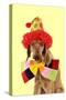 Wire-Haired Vizsla Wearing Clown Hat and Bow Tie-null-Stretched Canvas