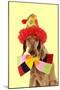 Wire-Haired Vizsla Wearing Clown Hat and Bow Tie-null-Mounted Photographic Print