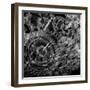 Wire Mechanism Gears-Mirexon-Framed Art Print