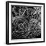 Wire Mechanism Gears-Mirexon-Framed Art Print