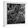 Wire Mechanism Gears-Mirexon-Framed Art Print