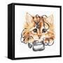 Wired Kitten-Karen Middleton-Framed Stretched Canvas