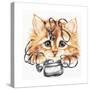 Wired Kitten-Karen Middleton-Stretched Canvas