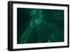 Wireframe Abstract with Geometric Glowing Line or Lines-kentoh-Framed Premium Giclee Print