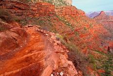 Bright Angel Trail Grand Canyon-Wirepec-Laminated Photographic Print