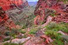 Bright Angel Trail Grand Canyon-Wirepec-Photographic Print