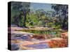 Wirreanda Creek, New South Wales, Australia-Robert Tyndall-Stretched Canvas