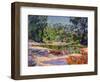 Wirreanda Creek, New South Wales, Australia-Robert Tyndall-Framed Giclee Print