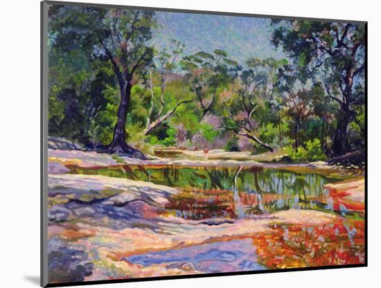 Wirreanda Creek, New South Wales, Australia-Robert Tyndall-Mounted Giclee Print