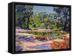 Wirreanda Creek, New South Wales, Australia-Robert Tyndall-Framed Stretched Canvas