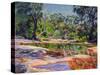 Wirreanda Creek, New South Wales, Australia-Robert Tyndall-Stretched Canvas