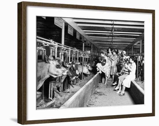 Wisconsin: Dairy Farm-null-Framed Giclee Print