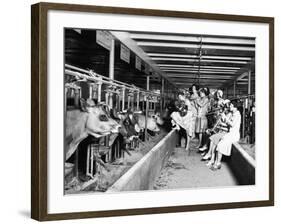 Wisconsin: Dairy Farm-null-Framed Giclee Print