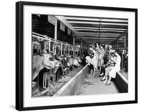 Wisconsin: Dairy Farm-null-Framed Giclee Print