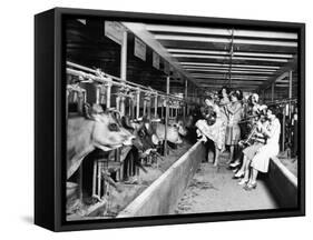 Wisconsin: Dairy Farm-null-Framed Stretched Canvas