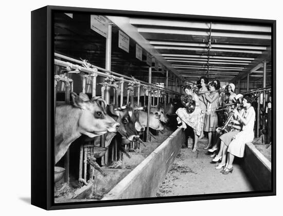 Wisconsin: Dairy Farm-null-Framed Stretched Canvas