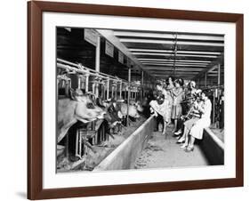 Wisconsin: Dairy Farm-null-Framed Giclee Print