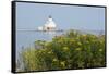 Wisconsin, Lake Michigan, Manitowoc. Historic Breakwater Light-Cindy Miller Hopkins-Framed Stretched Canvas