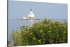 Wisconsin, Lake Michigan, Manitowoc. Historic Breakwater Light-Cindy Miller Hopkins-Stretched Canvas