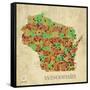 Wisconsin-David Bowman-Framed Stretched Canvas