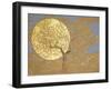 Wisdom, 2015 oil and gold leaf on panel-Angus Hampel-Framed Giclee Print