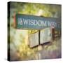 Wisdom-Amy Melious-Stretched Canvas