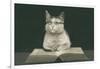 Wise Cat Reading Book-null-Framed Art Print