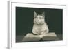 Wise Cat Reading Book-null-Framed Art Print