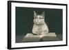 Wise Cat Reading Book-null-Framed Art Print