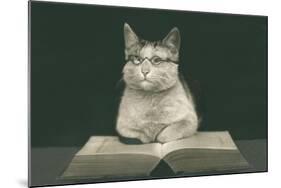 Wise Cat Reading Book-null-Mounted Art Print