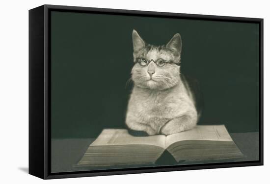 Wise Cat Reading Book-null-Framed Stretched Canvas