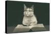 Wise Cat Reading Book-null-Stretched Canvas